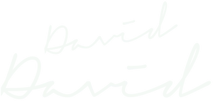 logo signature de l'artiste David David